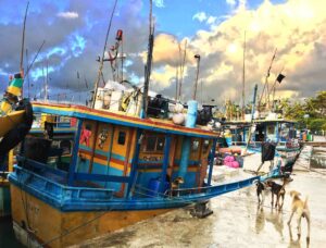 GALLE