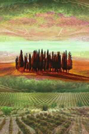 VAL D'ORCIA