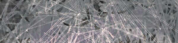 RAYONS rose et gris – Image 2