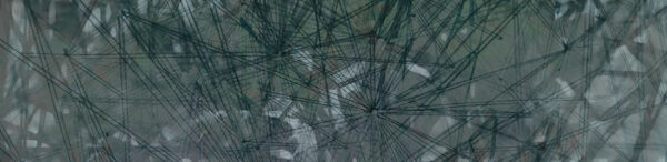 RAYONS vert – Image 2