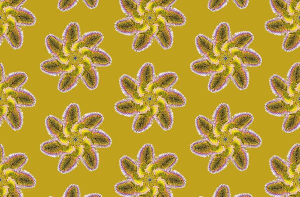 FLEURS DE PLUMES – Image 3