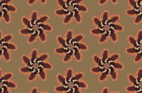 FLEURS DE PLUMES – Image 2