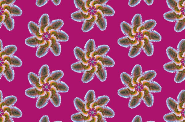 FLEURS DE PLUMES – Image 6